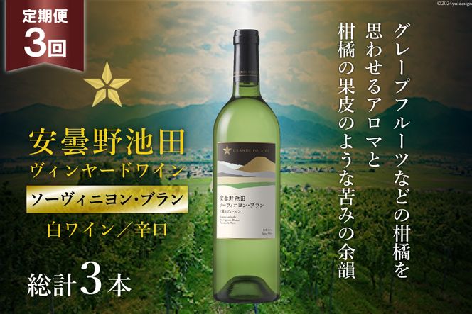 y쌧rcz3  C Tb| O|[ ܖrcB[hu\[BjEuv750ml v3{ [rcn[uZ^[ 쌧 rc 48110615]  C h  