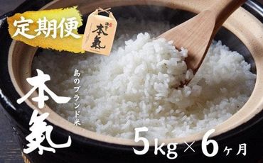 【島のお米の定期便】計30kg！本氣米5kg×6か月定期便
