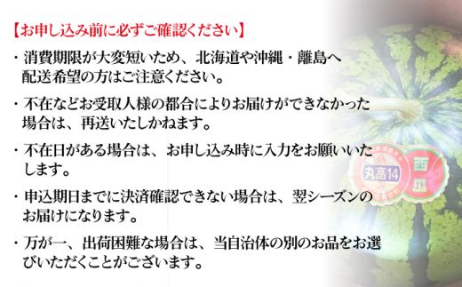 【2027年6月～発送】【大玉】 スイカ 羅皇 (ラオウ) 1玉 / すいか 南島原市 / ふるさと企画 [SBA013] 