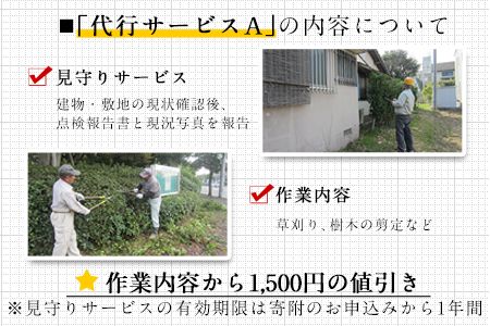 熊本県 長洲町ふるさと親孝行代行サービスA---sn_silvercenter_r7_5000_a---