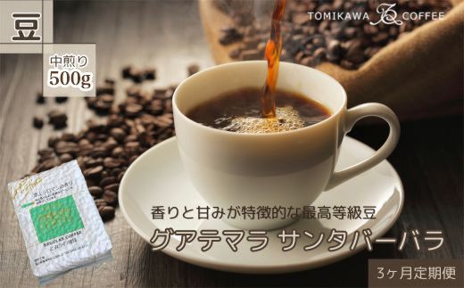 【3ヶ月定期便】自家焙煎コーヒー豆専門店とみかわの「グアテマラ　サンタバーバラ」500g（豆） ※北海道・沖縄・離島への配送不可