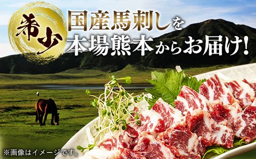 国内産 阿蘇肥育 霜降り 馬刺し 300g 【熊本と畜】 - 馬刺し 霜降り 口どけ 国内産 希少 ブロック おすすめ 人気 おつまみ 熊本県 甲佐町