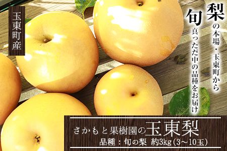 『さかもと果樹園』の玉東梨 約3kg 3玉-10玉前後 《8月中旬-9月末頃出荷》【日付指定・品種指定不可】 熊本県玉名郡玉東町 梨 なし 果物 フルーツ 旬の梨---sg_csksyun_bc8_25_11500_3kg---