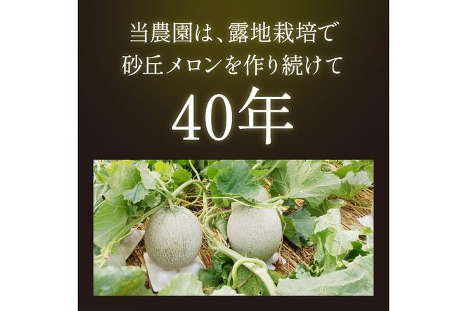 【先行予約／数量限定500】京丹後産 砂丘メロン 大玉2L以上 1玉（2025年7月下旬～発送）　国産 メロン めろん 2024フルーツ ふるーつ 果物 くだもの 農家応援 生産者応援　HF00003