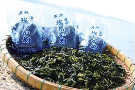 y@szYʂ킩߁ỷwނȂz_HA0446