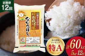 12回 定期便 JA新すながわ産 特栽米ななつぼし 5kg×12回 総計60kg [ホクレン商事 北海道 砂川市 12260663]