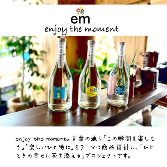 ＜入金確認後、2週間以内に発送！＞「enjoy the moment」プロジェクト 焼酎3種(25度)500ml 各4本 計12本 c6-073-2w