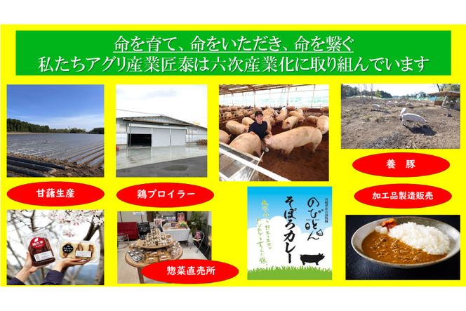 豚肉 切り落とし 宮崎県産 豚 切り落し 500g × 10 計5kg [アグリ産業匠泰 宮崎県 美郷町 31be0035] 肉 冷凍 ぶた肉 ぶた 小分け 個包装 切り落とし