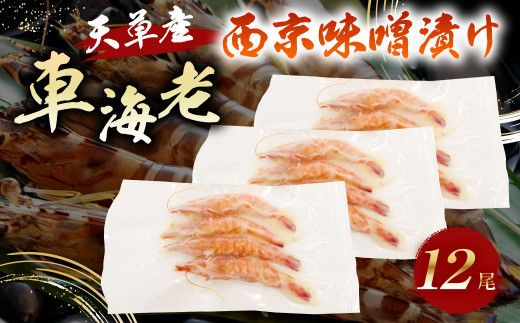 yF{VszVY ԊCV X 12  ԃGr