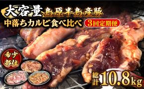 【3回 定期便】希少部位！島原半島産豚 中落ちカルビ 大容量 食べ比べセット 総計10.8kg / 豚 豚肉 カルビ / 南島原市 / はなぶさ [SCN133]