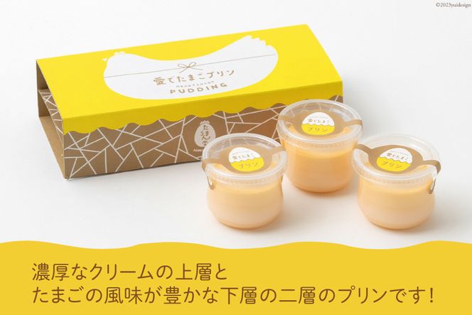 AH058 愛でたまご２種＆愛でたまごプリンセットC 【 プリン 卵 たまご 自家製 冷蔵 長崎県 島原市 】