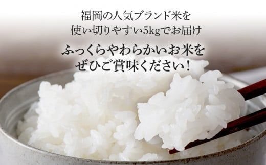 令和7年産　福岡県産ブランド米「夢つくし」無洗米　5kg【9月上旬頃より順次出荷予定】
