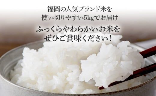 福岡県産ブランド米「夢つくし」無洗米　5kg