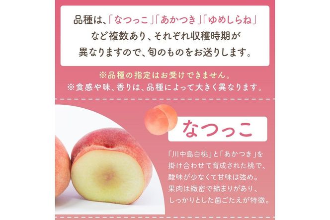 【先行予約／数量限定】京都丹後産 桃 約2kg（6～8玉）（2026年7月中旬～発送）歯ごたえのある かための桃 ふるさと 納税 桃 2kg ふるさと 納税 もも モモ 　AM00712