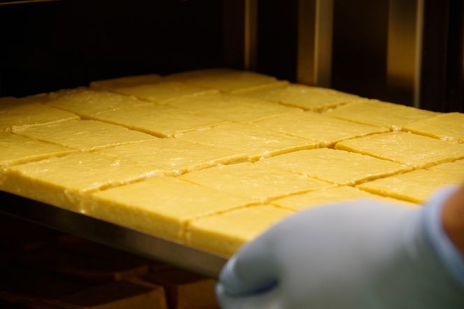 五木屋本舗の山うにとうふ「誉」  [五木屋本舗 熊本県 五木村 51120308] 豆腐 味噌漬 九州産大豆・天然水使用 熊本県 特産 とうふ  豆腐 味噌漬  みそ漬 唐がらし 唐辛子 豆腐ちーず 豆腐チーズ チーズ スモーク豆腐チーズ スモーク 燻製 ゆず 柚子 しょうが 生姜 しそ 大豆食品 冷蔵