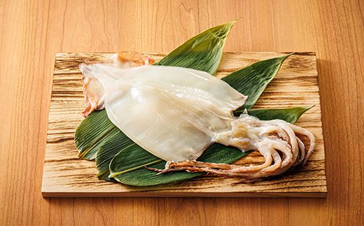 北海道産 真いか 一夜干し 2杯×4個セット | 一夜干し 烏賊 いか イカ 焼魚 焼き魚 セット ひもの 冷凍 冷凍 魚介類 海鮮 絶品 人気 笹谷商店 直営 釧之助本店 高級 北海道 釧路町 釧路超 特産品 121-1920-450-065