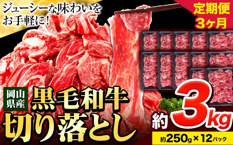 牛肉 肉 黒毛和牛 切り落とし 訳あり 大容量 小分け[定期便] 3kg 1パック 250g 3回 [お申込月の翌月より発送]岡山県産 岡山県 笠岡市 お肉 にく カレー 牛丼 切り落し 切落し---223_f745tei_23_80000_9kg---