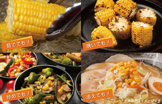 005A299 【先行予約】秋収穫！ゴールドラッシュ 7本セット とうもろこし