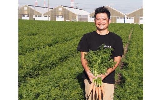 ＜フジテレビ『どっちのふるさと？』で紹介されました！＞ 福箱★2026 訳あり 野菜 にんじん マドンナキャロット 8.5kg 大小サイズ混合 国産 不揃い こどもも食べられる 甘み 料理 キャロット ジュース 野菜ジュース 福袋 愛知県 碧南市 お取り寄せ 送料無料 H105-168