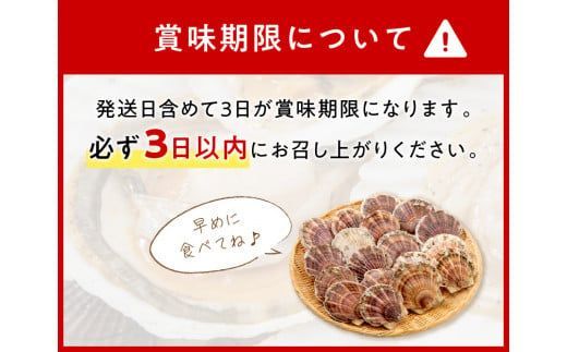 オホーツク貝付きほたて 3kg(15枚～25枚)( 海鮮 魚介 魚介類 貝 貝類 ホタテ ほたて 帆立 殻付き 貝柱 贈答 ギフト 贈り物 お中元 お祝い BBQ バーベキュー )【031-0012】