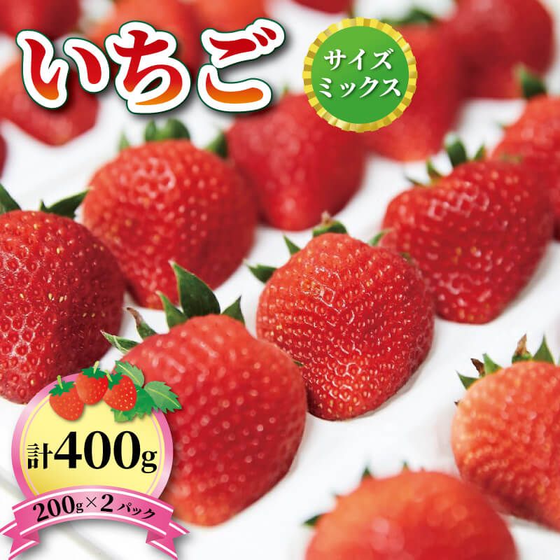 いちご 1種 400g (200g×2) 品種おまかせ[6〜12月お届け] [riastar001_2_1]