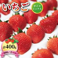 いちご 1種 400g (200g×2) 品種おまかせ【6～12月お届け】 [riastar001_2_1]