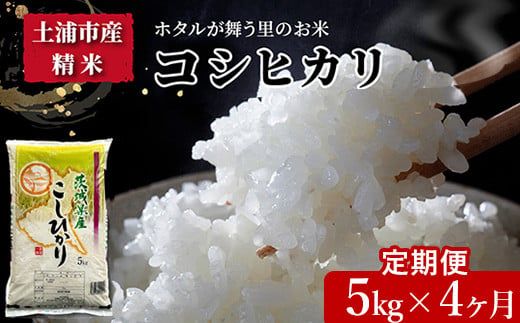 【定期便 4ヶ月】令和7年産　土浦市産 コシヒカリ　精米5kg　ホタルが舞う里のお米　※離島への配送不可 ※2025年9月中旬頃より順次発送予定