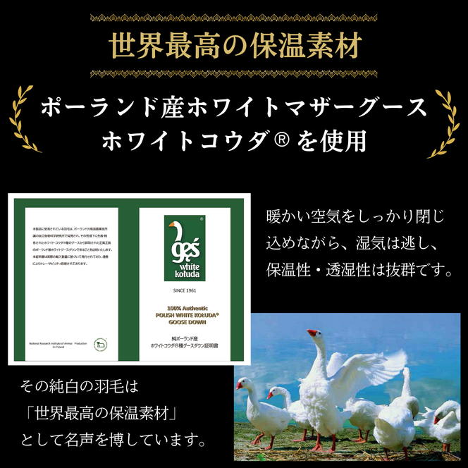 ＜京都金桝＞羽毛布団 ダブル 特殊2層キルト(ポーランド産マザーホワイトグースダウン95％ ホワイトコウダ・たっぷり1.6kgふっくら仕上げ)ロジック≪羽毛ふとん 掛け布団 国内再洗浄 DP450 新生活≫