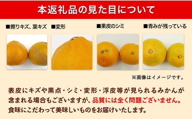 みかん 和歌山 訳あり 早生 みかん 5kg ( サイズ 不選別 ) どの坂果樹園《12月上旬-2027年2月上旬出荷予定》 和歌山県 日高町 産地直送 家庭用 規格外 不揃い 果物 柑橘 サイズ 不選別 訳ありみかん わけありみかん 送料無料---wsh_dsk54_12j2j_25_9000_5kg---
