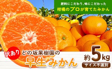 濃厚】和歌山県産 ネーブル オレンジ 約 7.5kg（サイズおまかせ） 厳選