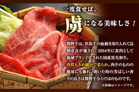 【和歌山県のブランド牛】熊野牛 モモしゃぶしゃぶ用 500g 厳選館《90日以内に出荷予定(土日祝除く)》 和歌山県 日高川町 熊野牛 牛 うし モモ しゃぶしゃぶ---wshg_fgenkmsyb_90d_22_25000_500g---