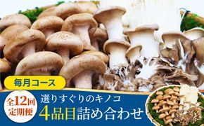 【12回定期便】きのこ定期便 厳選セット 4品目「12回（毎月）」お届け 特選キノコ 詰め合わせ きのこ きのこセット / 南島原市 / 吉岡青果 [SCZ015]