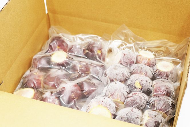 新鮮な緑色の未熟果実 2kg 2024年度 9/18から順次発送 送料無料 *沖縄離島追加料金あり