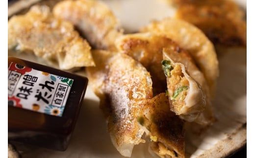 お試しセット 居酒屋のおかあちゃん手作り ひと口味噌ぎょうざ 30個(15個×2袋) H136-034