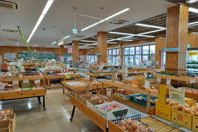 【先行予約／数量限定】直売所直送「京都・京丹後産 訳あり さつまいも3種食べ比べセット」計3kg（2026年10月下旬～発送）　国産 ふるさと納税 訳あり ふるさと納税 さつま芋 ふるさと納税 シルクスイート ふるさと納税 安納芋 紅はるか　JA00069