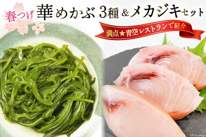 ＼満点★青空レストランで紹介／ 春つげ華めかぶ 3種 （千切りメカブ・削ぎメカブ・まるままメカブ) メカジキ セット [第38漁徳丸 宮城県 気仙沼市 20565076] 魚介類 海藻 メカブ メカジキ めかぶ メカ 芽株 三陸めかぶ 食べ比べ 冷蔵