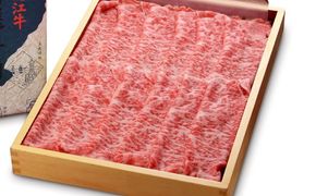 近江牛しゃぶしゃぶ用【450ｇ】【N005U】