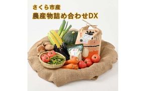 さくら市産の農産物詰め合わせDX≪野菜 旬の野菜 米 栃木県≫◇