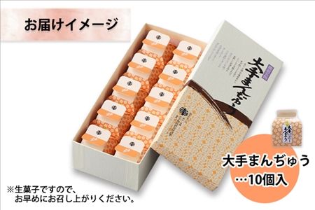 北海道 大手まんぢゅう 10個 まんじゅう 饅頭 こしあん 自家製餡 北海道産 小豆使用 和菓子 お菓子 銘菓 お茶菓子 お土産 手土産 薄皮 大手饅頭伊部屋 菓子 お取り寄せ 岡山 送料無料 十勝 士幌町 【M01】