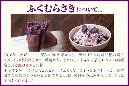 熊本県大津町産 ふくむらさき 5kg《1月上旬-5月末頃出荷》 タカハマ観光農園 さつまいも 芋 紫芋 高糖度---so_takafms_af15_24_11000_5kg---