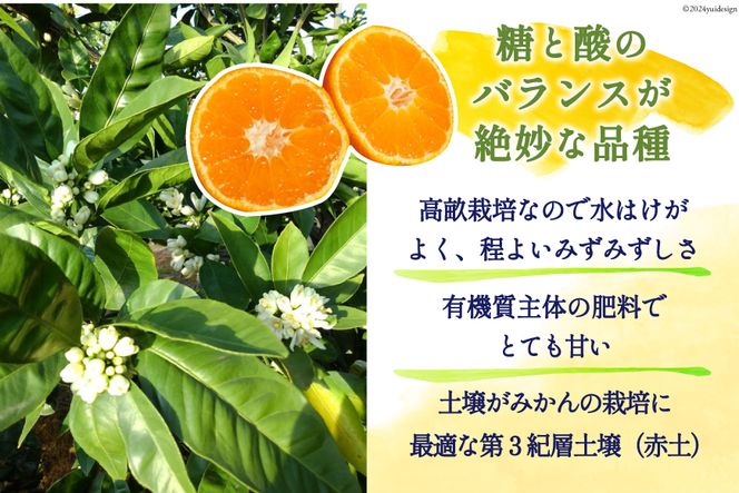 みかん 5kg【期間限定発送】ギュッと濃縮 うまっ！ 田口早生温州みかん(2S) [黒田農園 宮崎県 日向市 452060136] 果物 フルーツ ミカン 蜜柑 柑橘