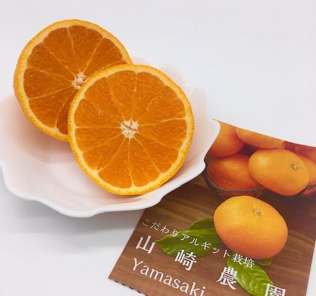 Amazon | みかん 夢未来 早生みかん 約4kg 小玉 SSサイズ 48～64個 JA熊本市 熊本県産 ミカン フルーツ 果物 グルメ |  ヨグモグ | みかん・柑橘類 通販