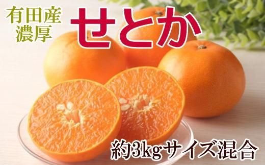 一度は食べていただきたい「有田産のせとか」約3kg（サイズ混合）★2027年2月中旬頃より順次発送   BZ115