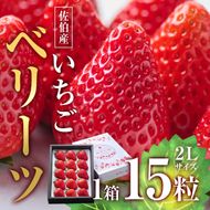 ＜先行予約受付中！2025年1月より順次発送予定＞＜数量限定＞ 佐伯産 いちご ベリーツ (2Lサイズ計15粒・1箱) 大分県産 イチゴ 苺 果物 フルーツ デザート スイーツ 甘い 大分県 佐伯市【BS63】【大分県農業協同組合 南部エリア (佐伯)】