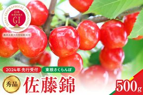 【2025年産　先行予約】佐藤錦 秀品 500g 山形県 東根市　hi004-hi062-037-2