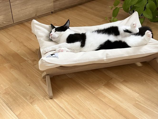 【リアルダウン使用】 プレミアム ハンモックタイプの 羽毛ペットベッド 天然鉱石配合 犬や猫が喜ぶ！ H162-035