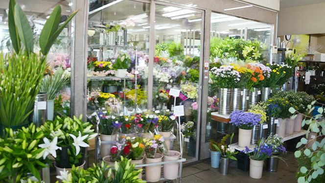 季節の寄せかご（大） 花 お花 フラワー 誕生日 プレゼント ギフト 贈り物 父の日 母の日 [AS02-NT]