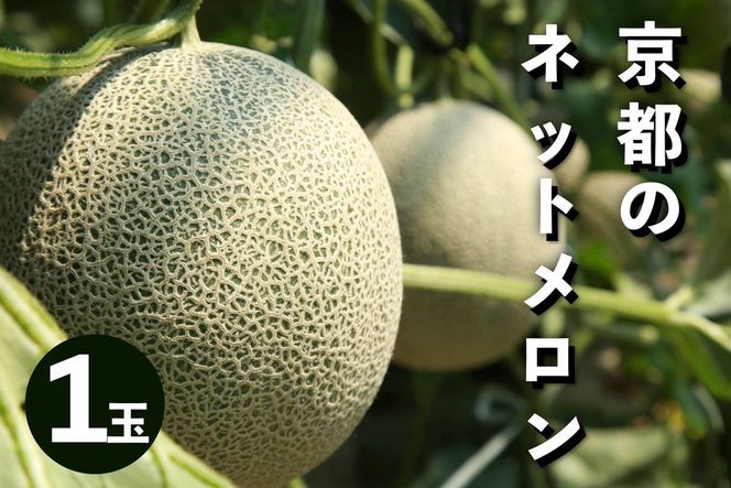 ys{Oszys\^ʌ100zA[Xilbgj 1ʁi2026N7{`j Y  ߂ 2025t[c ӂ[ ʕ  _Ɖ Y҉ NG00015