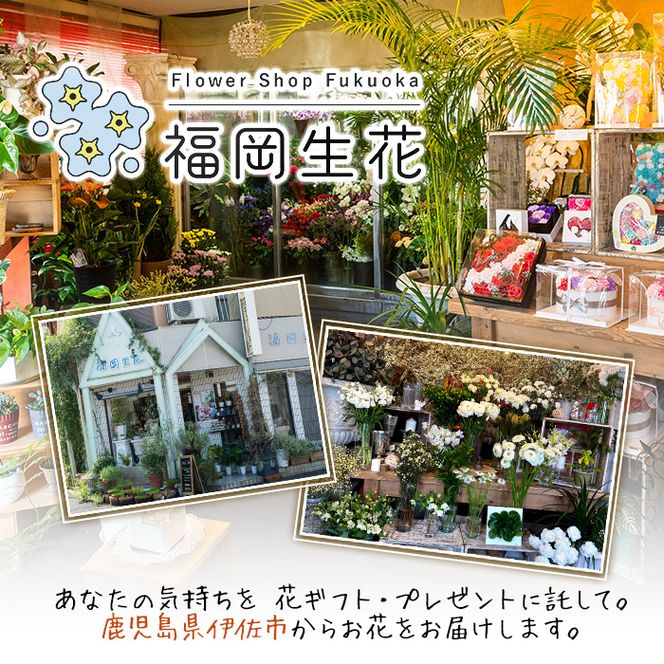 isa291 おまかせプリザーブドフラワーアレンジメント(約 高さ16×幅12×奥行12cm)ご自宅のインテリア、ギフトにも！【福岡生花】