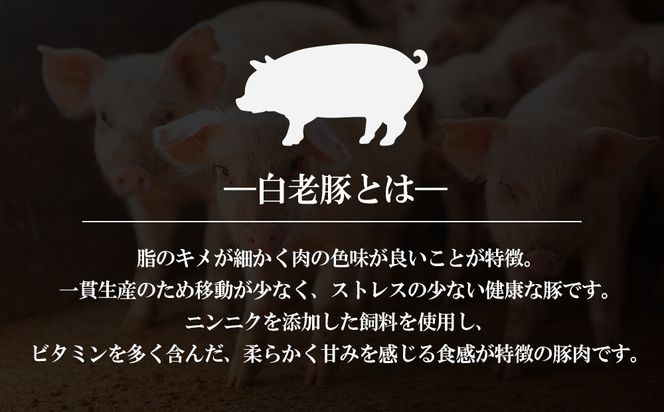 北海道産 白老豚 挽肉 300g×10パック BV014